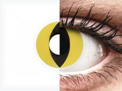 ColourVUE Crazy Lens - Cat Eye - non correttive (2 lenti)