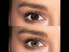 FreshLook Colors Green - non correttive (2 lenti)