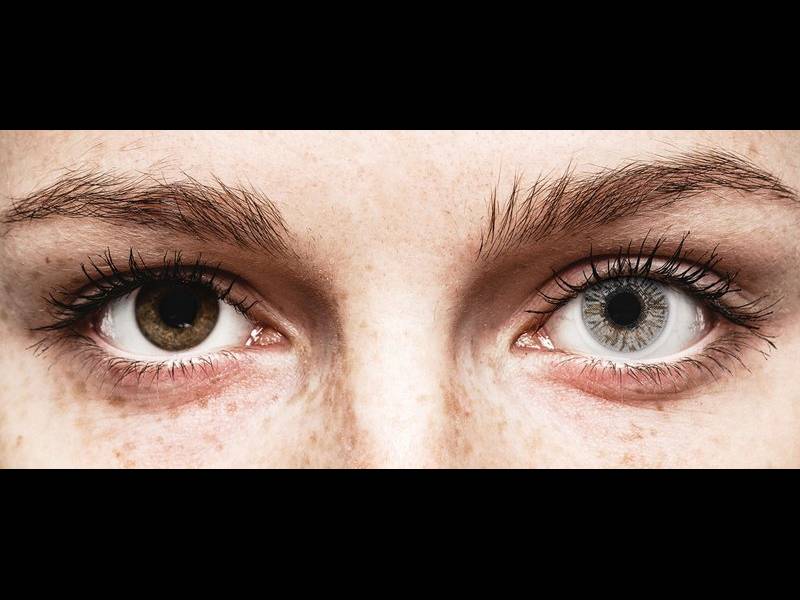 FreshLook Colors Misty Gray - correttive (2 lenti)