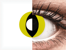 CRAZY LENS - Cat Eye Yellow - giornaliere non correttive (2 lenti)
