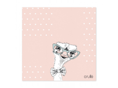 Custodia Crullé con panno per pulizia occhiali - Lady Ostrich 