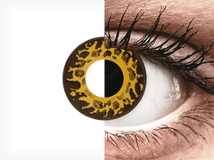 CRAZY LENS - Cheetah - giornaliere correttive (2 lenti)