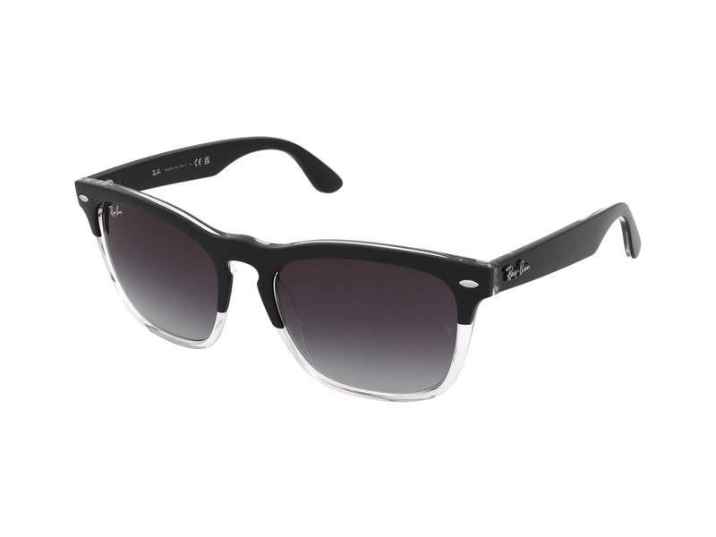 Ray-Ban Steve RB4487 66308G 