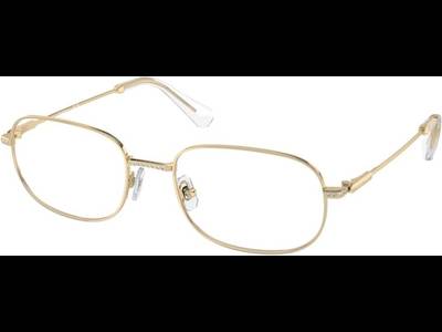 Swarovski SK1005 4013 