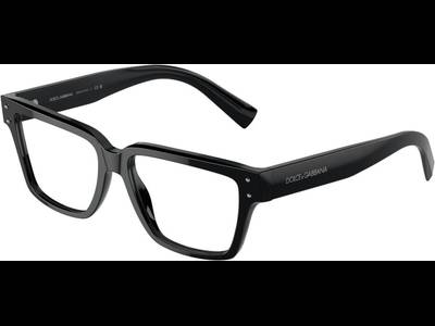 Dolce & Gabbana DG3383 501 